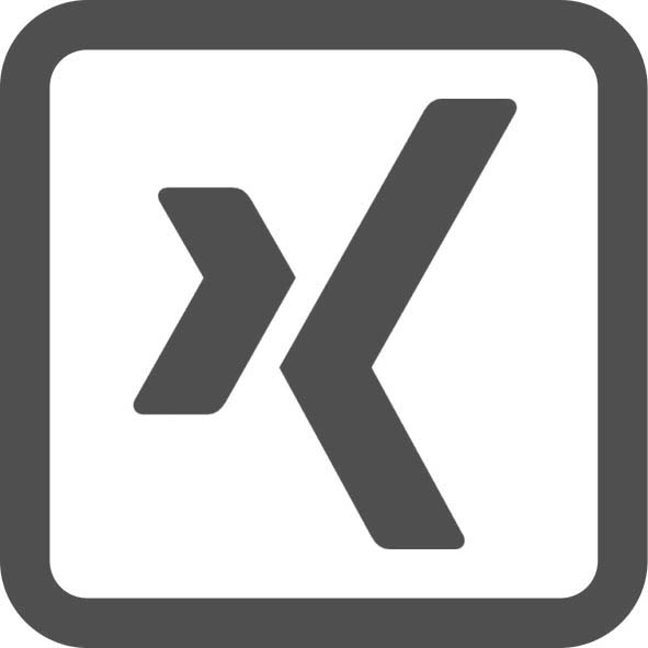 Xing Icon